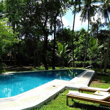 Отель Botanique Goa Ассагао Экстерьер фото